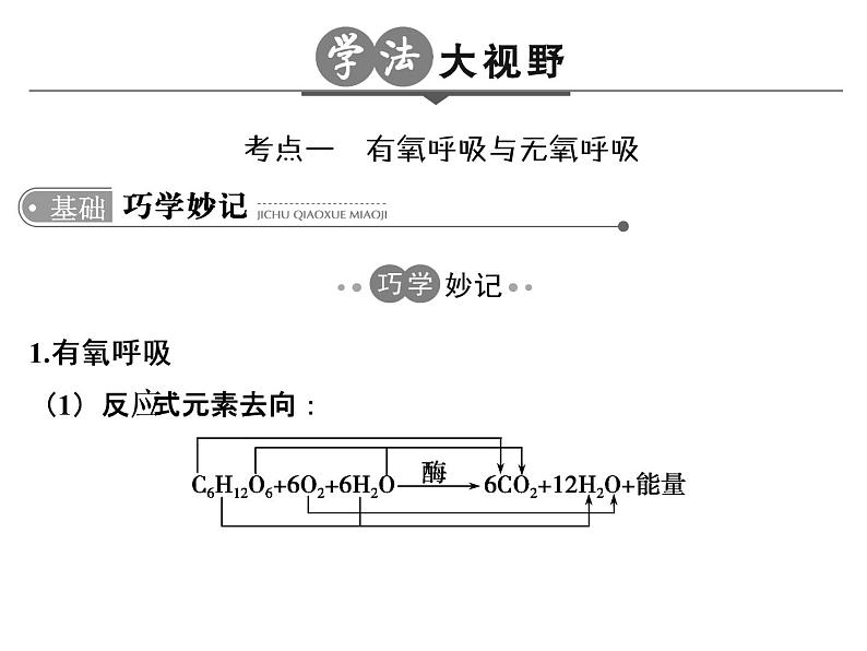 高考生物一轮总复习课件：专题5 细胞呼吸第3页