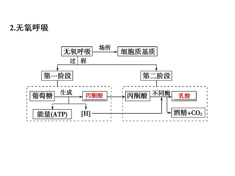 高考生物一轮总复习课件：专题5 细胞呼吸第5页