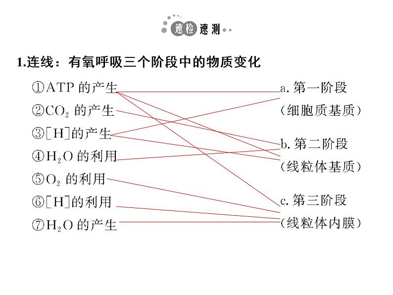 高考生物一轮总复习课件：专题5 细胞呼吸第6页