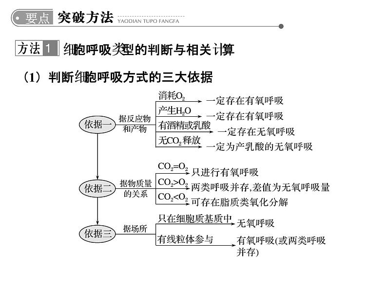 高考生物一轮总复习课件：专题5 细胞呼吸第8页