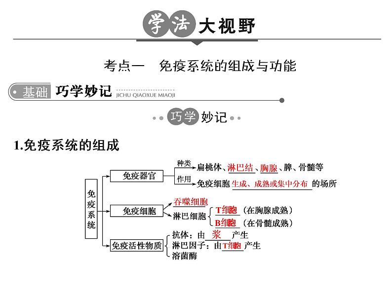 高考生物一轮总复习课件：专题17 免疫调节第3页