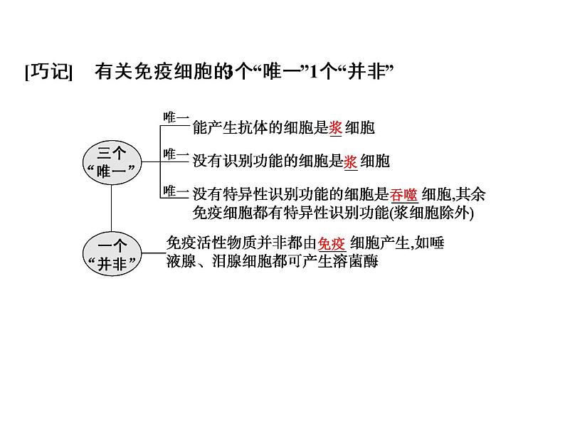 高考生物一轮总复习课件：专题17 免疫调节第4页