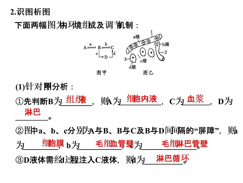 高考生物一轮总复习课件：专题14 人体内环境稳态与调节第7页