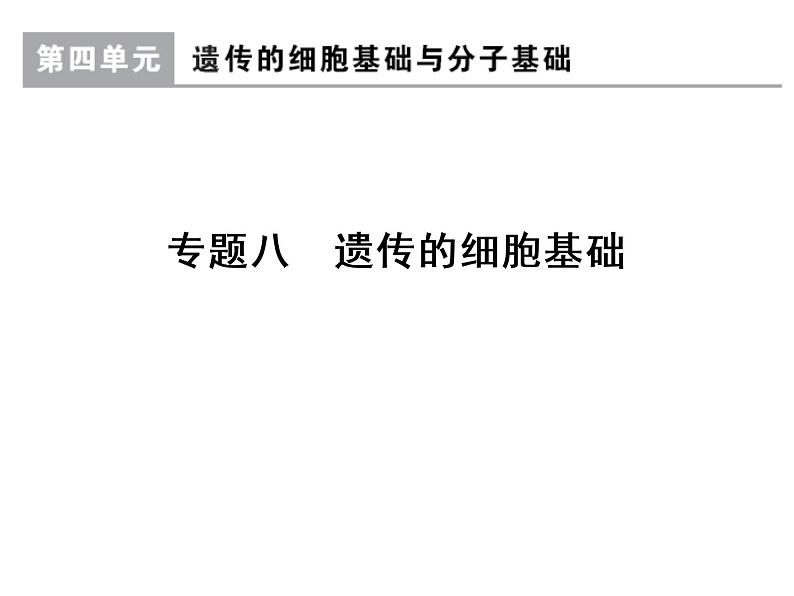 高考生物一轮总复习课件：专题8 遗传的细胞基础第1页