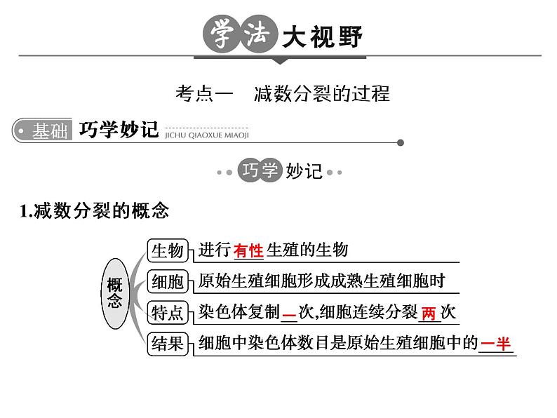 高考生物一轮总复习课件：专题8 遗传的细胞基础第3页