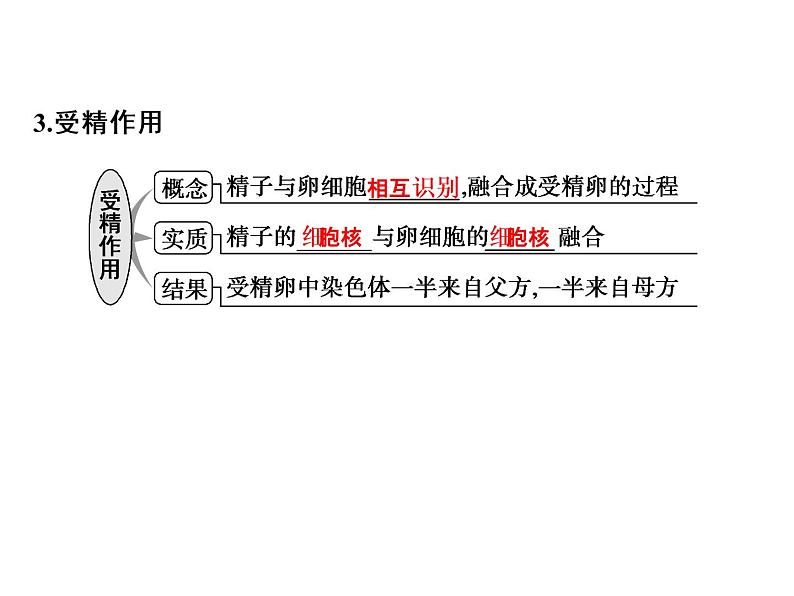 高考生物一轮总复习课件：专题8 遗传的细胞基础第6页