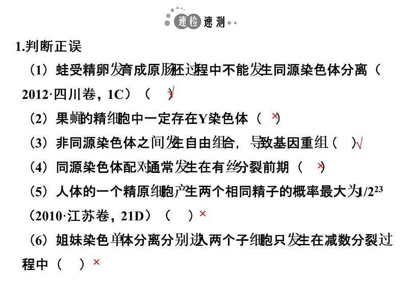 高考生物一轮总复习课件：专题8 遗传的细胞基础第7页