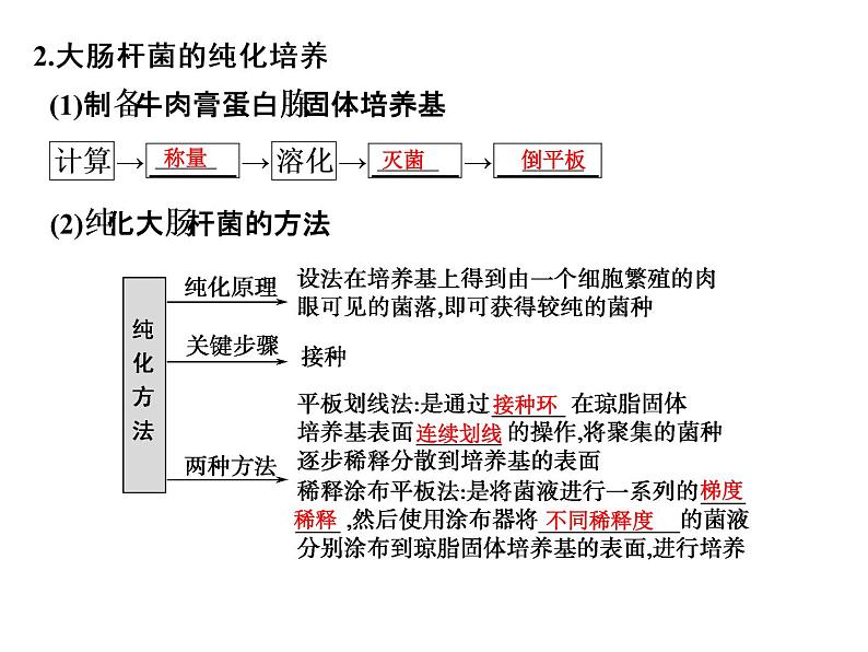 高考生物一轮总复习课件：专题22 微生物的利用第4页