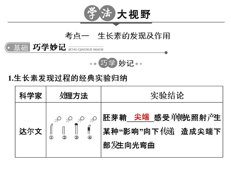 高考生物一轮总复习课件：专题18 植物的激素调节第3页