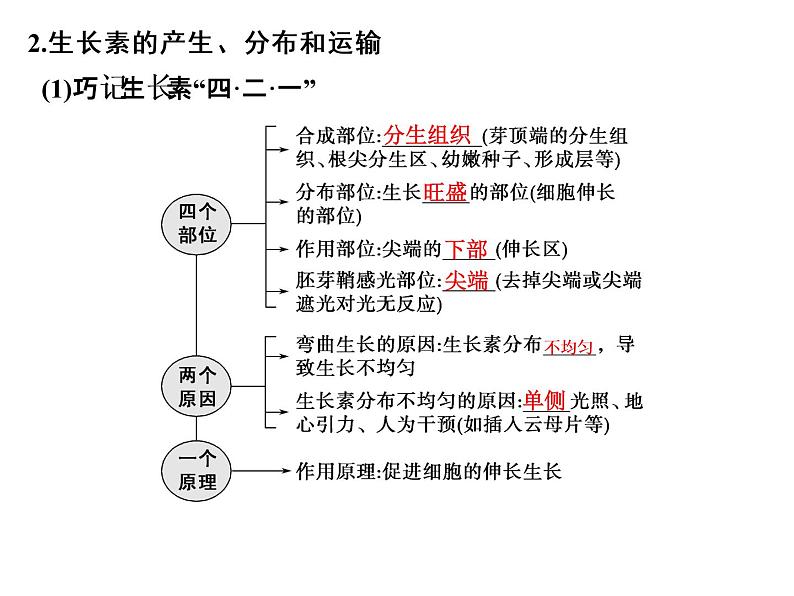 高考生物一轮总复习课件：专题18 植物的激素调节第5页