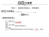 高考生物一轮总复习课件：专题11 伴性遗传与人类遗传病