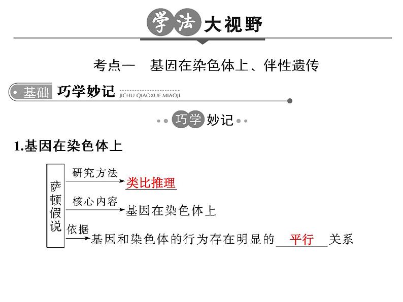 高考生物一轮总复习课件：专题11 伴性遗传与人类遗传病03