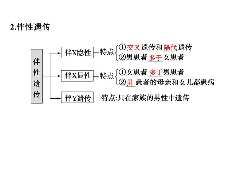 高考生物一轮总复习课件：专题11 伴性遗传与人类遗传病05