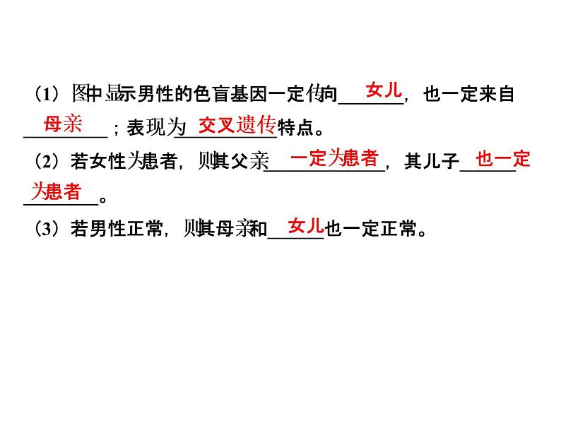 高考生物一轮总复习课件：专题11 伴性遗传与人类遗传病07