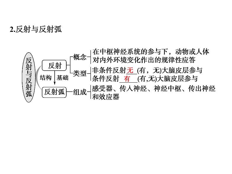 高考生物一轮总复习课件：专题15 人和高等动物的神经调节第5页