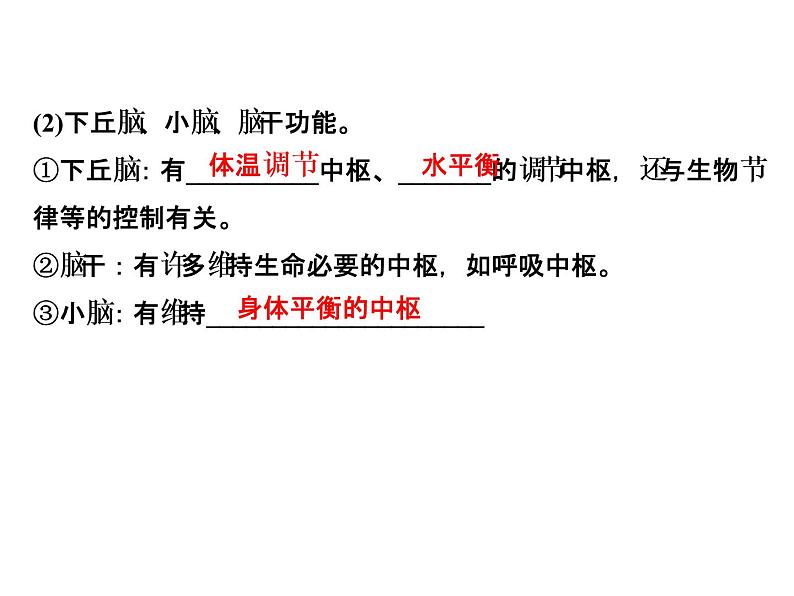 高考生物一轮总复习课件：专题15 人和高等动物的神经调节第7页