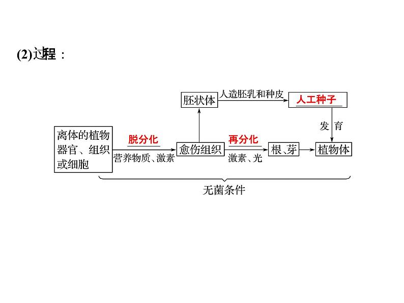 高考生物一轮总复习课件：专题26 克隆技术第4页