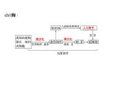 高考生物一轮总复习课件：专题26 克隆技术