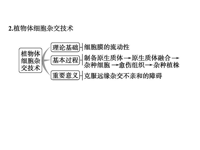 高考生物一轮总复习课件：专题26 克隆技术第5页