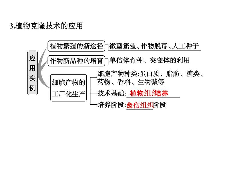 高考生物一轮总复习课件：专题26 克隆技术第6页