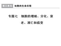 高考生物一轮总复习课件：专题7 细胞的增殖、分化、衰老、凋亡和癌变