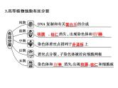 高考生物一轮总复习课件：专题7 细胞的增殖、分化、衰老、凋亡和癌变