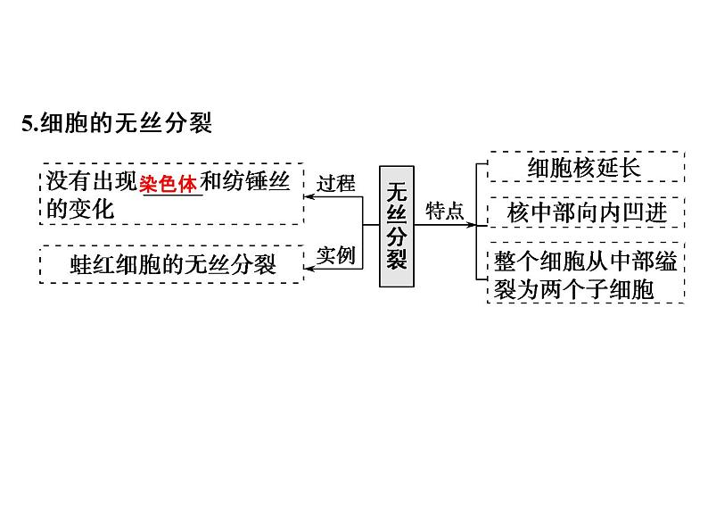 高考生物一轮总复习课件：专题7 细胞的增殖、分化、衰老、凋亡和癌变07