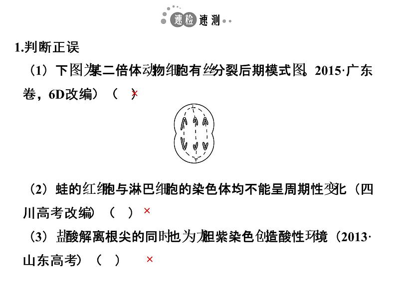 高考生物一轮总复习课件：专题7 细胞的增殖、分化、衰老、凋亡和癌变08