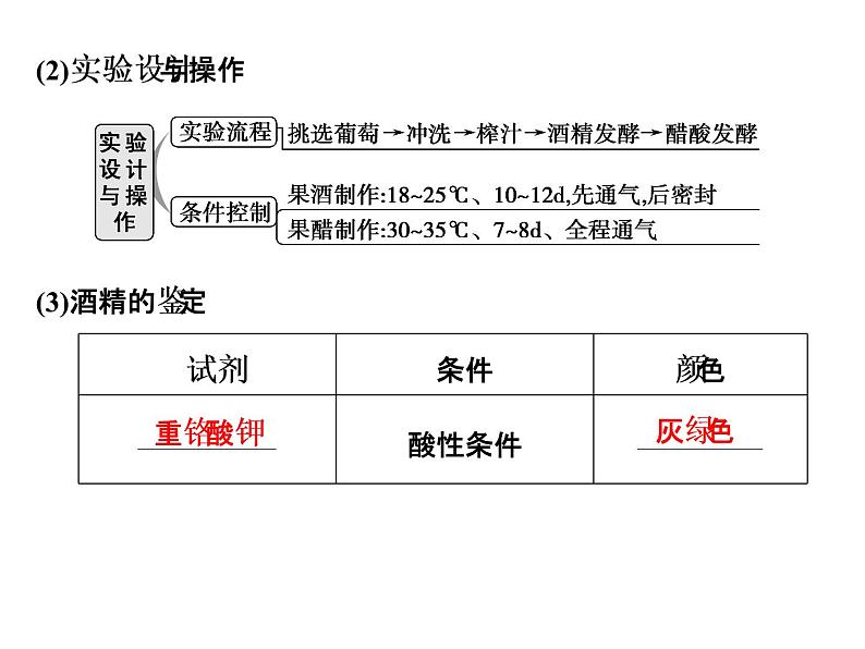 高考生物一轮总复习课件：专题23 酶的应用及传统发酵技术05