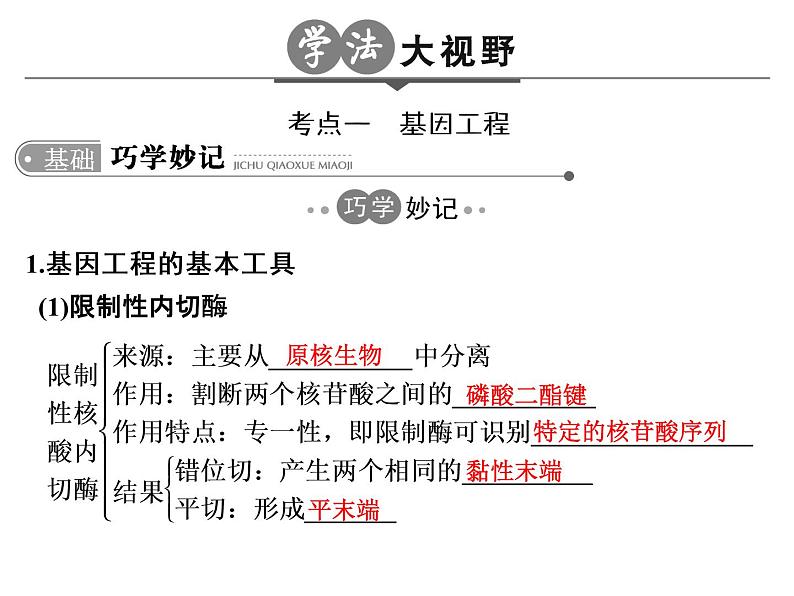 高考生物一轮总复习课件：专题25 基因工程（含转基因生物的安全性与生物武器）第3页