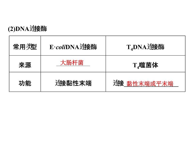 高考生物一轮总复习课件：专题25 基因工程（含转基因生物的安全性与生物武器）第4页