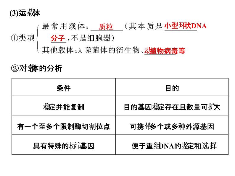 高考生物一轮总复习课件：专题25 基因工程（含转基因生物的安全性与生物武器）第5页