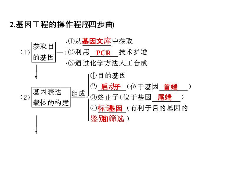 高考生物一轮总复习课件：专题25 基因工程（含转基因生物的安全性与生物武器）第6页