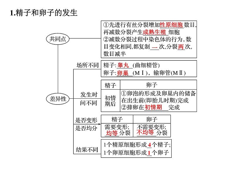 高考生物一轮总复习课件：专题27 胚胎工程与生态工程04