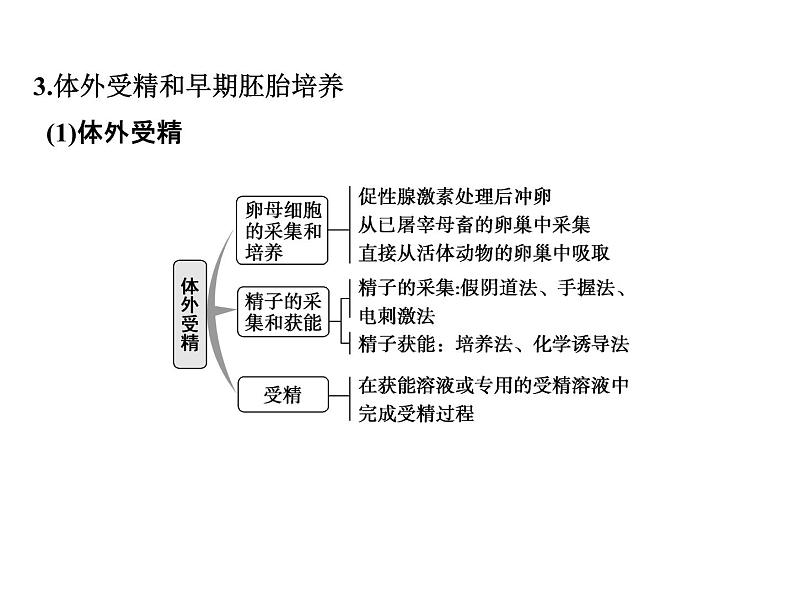 高考生物一轮总复习课件：专题27 胚胎工程与生态工程06