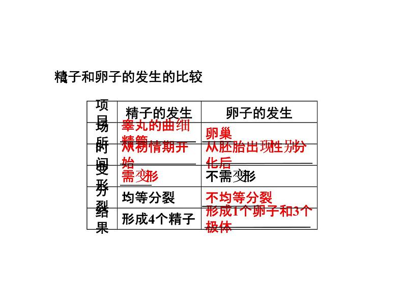 高考生物一轮复习（通用版）课件：第12单元-第3讲胚胎工程与生物技术的安全性和伦理问题第3页