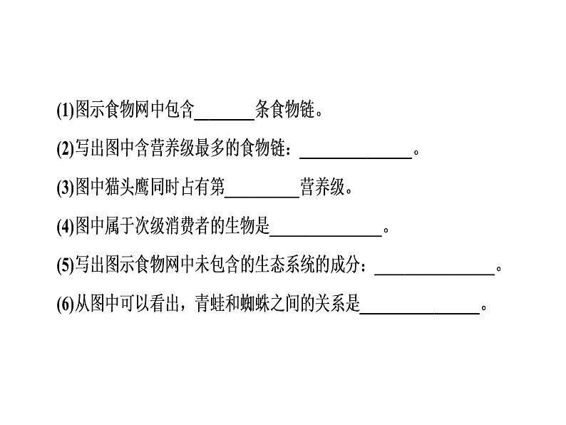 高考生物一轮复习（通用版）课件：第10单元-第1讲生态系统的结构第8页