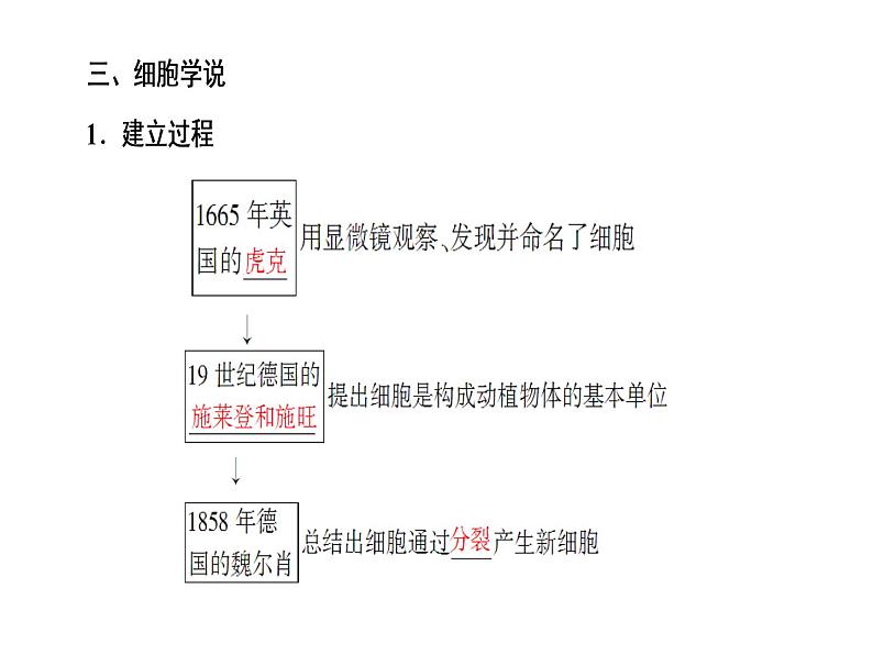 高考生物一轮复习（通用版）课件：第2单元-第1讲走近细胞第6页