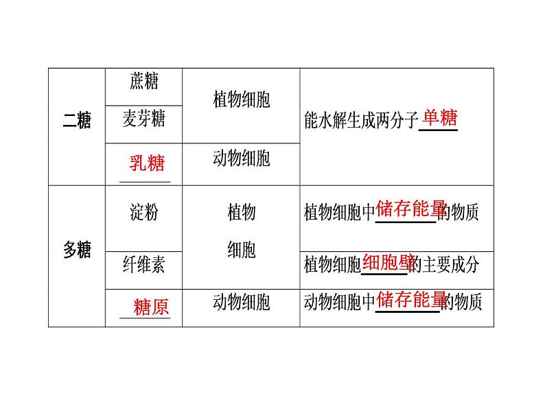 高考生物一轮复习（通用版）课件：第1单元-第3讲细胞中的核酸、糖类和脂质第8页