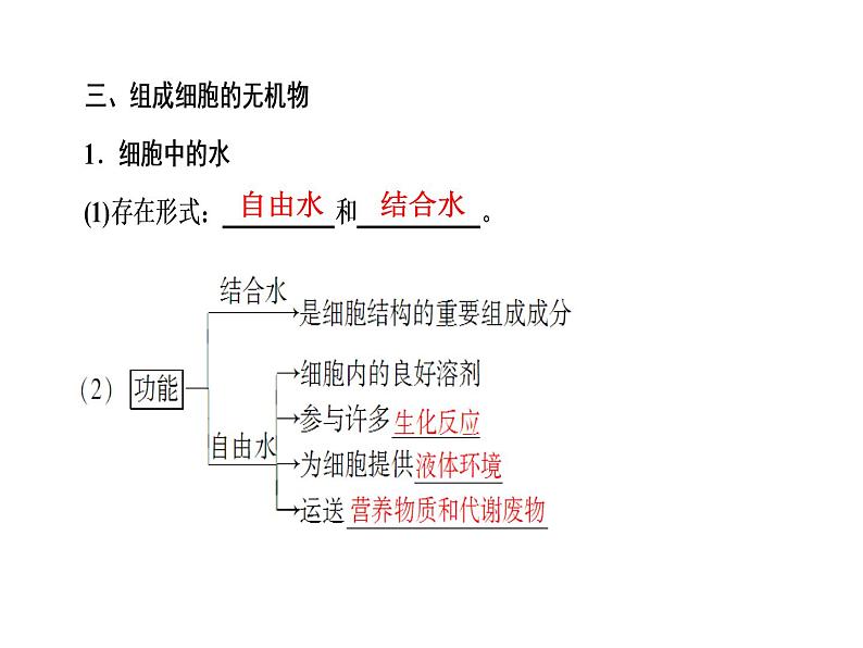 高考生物一轮复习（通用版）课件：第1单元-第1讲组成细胞的元素和无机化合物第5页