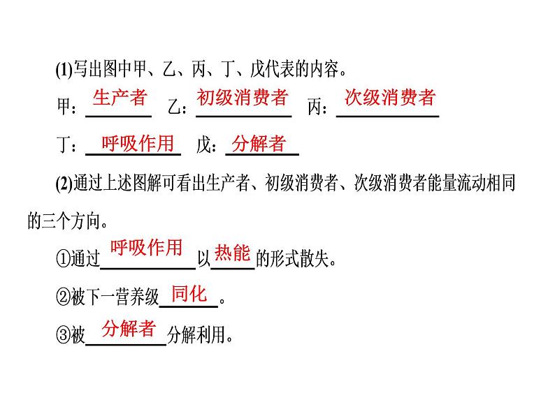 高考生物一轮复习（通用版）课件：第10单元-第2讲生态系统的能量流动第3页