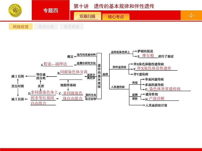 高考生物二轮课件：4.10 遗传的基本规律和伴性遗传第2页