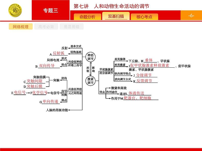 高考生物二轮课件：3.7 人和动物生命活动的调节第6页