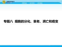 2018届高考生物一轮（课标通用）课件：专题八 细胞的分化、衰老、凋亡和癌变