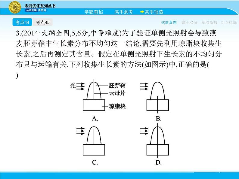 2018届高考生物一轮（课标通用）课件：专题十九 植物的激素调节第8页