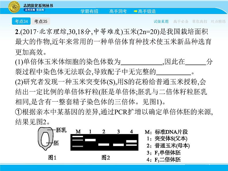 2018届高考生物一轮（课标通用）课件：专题十四 染色体变异与育种第5页