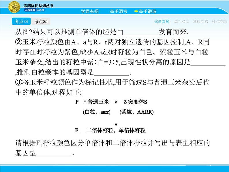 2018届高考生物一轮（课标通用）课件：专题十四 染色体变异与育种第6页