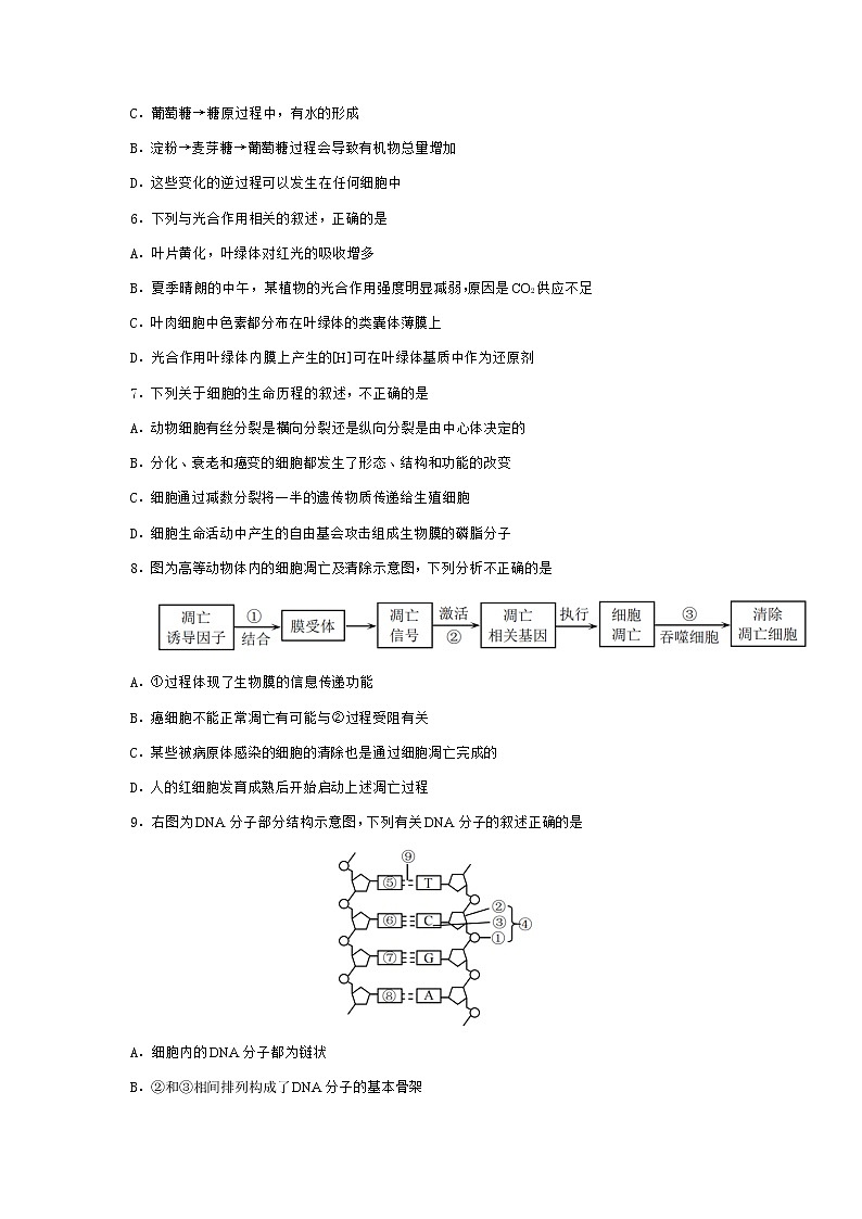 重庆市2022届高三上学期11月高考模拟调研卷（一）生物试题含答案02