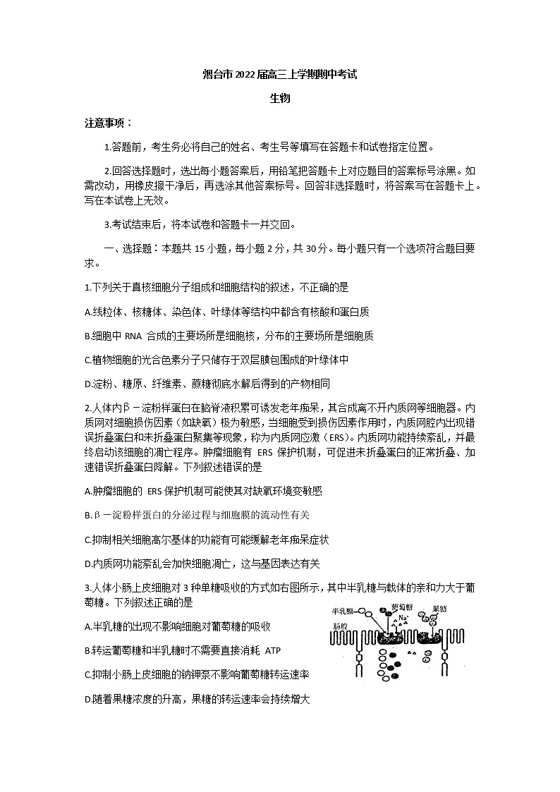 山东省烟台市2022届高三上学期期中考试生物试题含答案01
