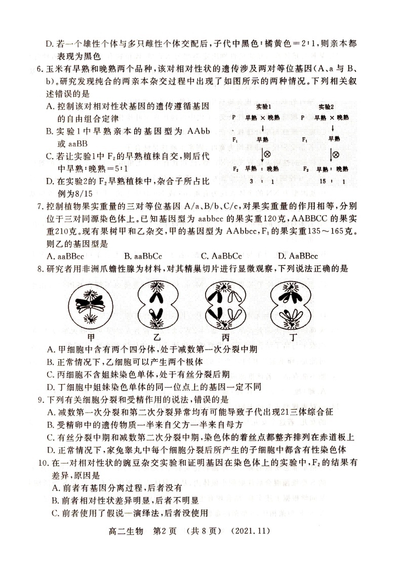河南省洛阳市2021-2022学年高二上学期期中考试生物试题扫描版含答案02